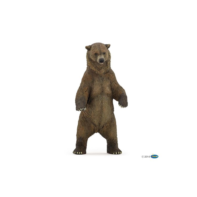 Grizzlybjørn