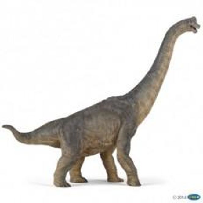 Hovedbilde Brachiosaurus