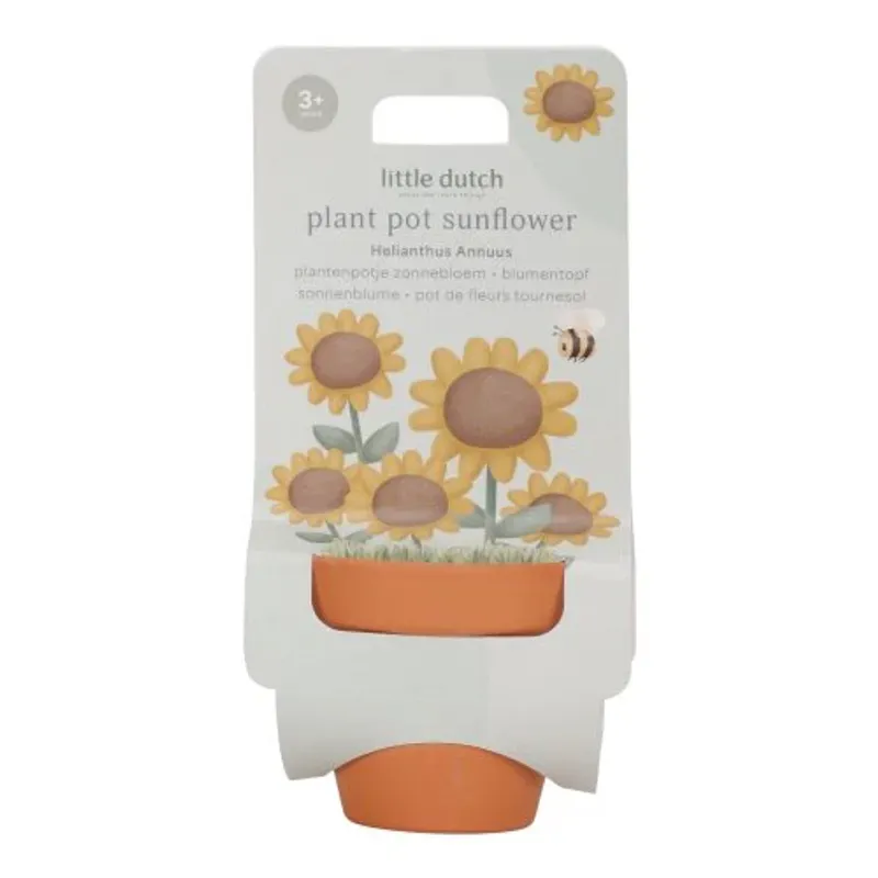 Potte med Solsikke Frø