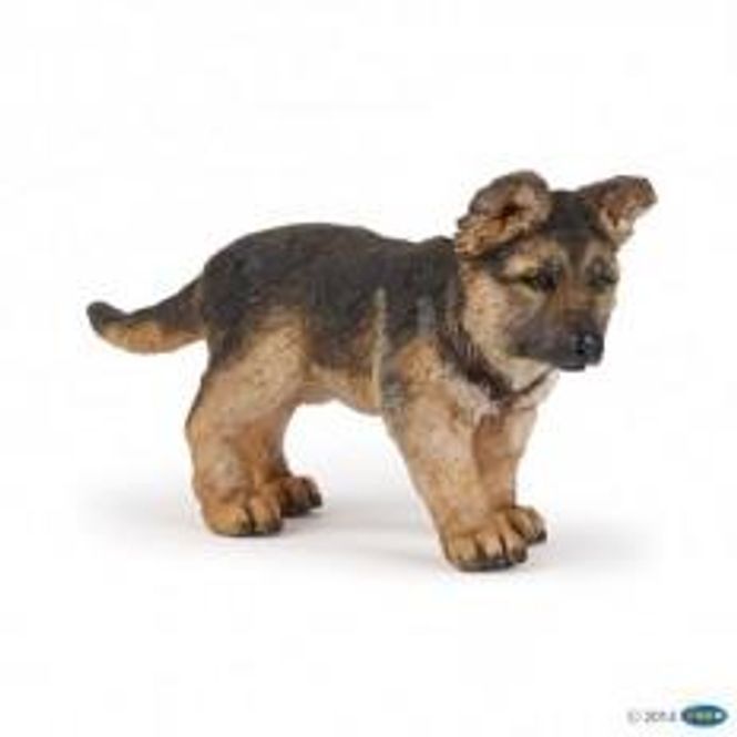 Hovedbilde Schäferhund valp
