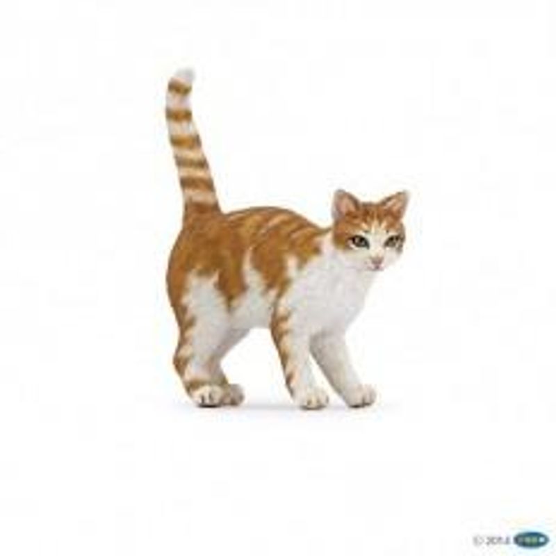 Katt